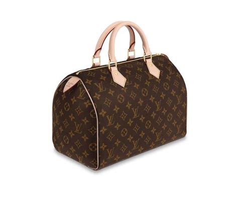bauletto speedy multicolor louis vuitton prezzi